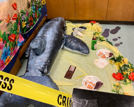 What happened to the whale?!